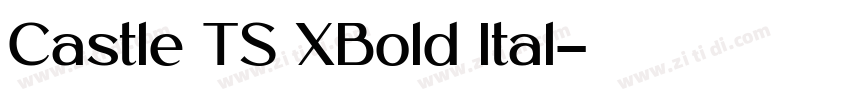 Castle TS XBold Ital字体转换